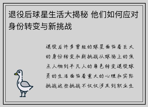 退役后球星生活大揭秘 他们如何应对身份转变与新挑战 退役后球星生活大揭秘 他们如何应对身份转变与新挑战